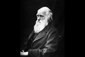'We are not amused' - Charles Darwin